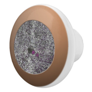 Uppgifter om geologi Grått Granite Rosa Knopp