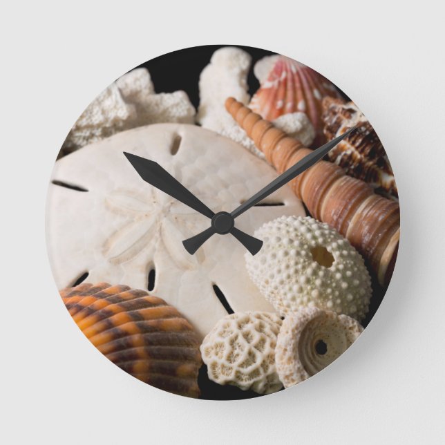 Uppgifter om Seasheller från Värld runt Rund Klocka (Framsida)