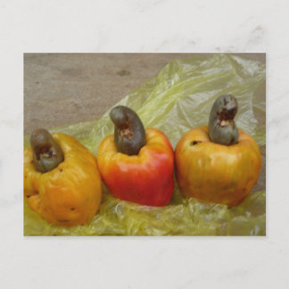 Uppgiftskort för frukt i afrikanska Cashew Nöt Vykort