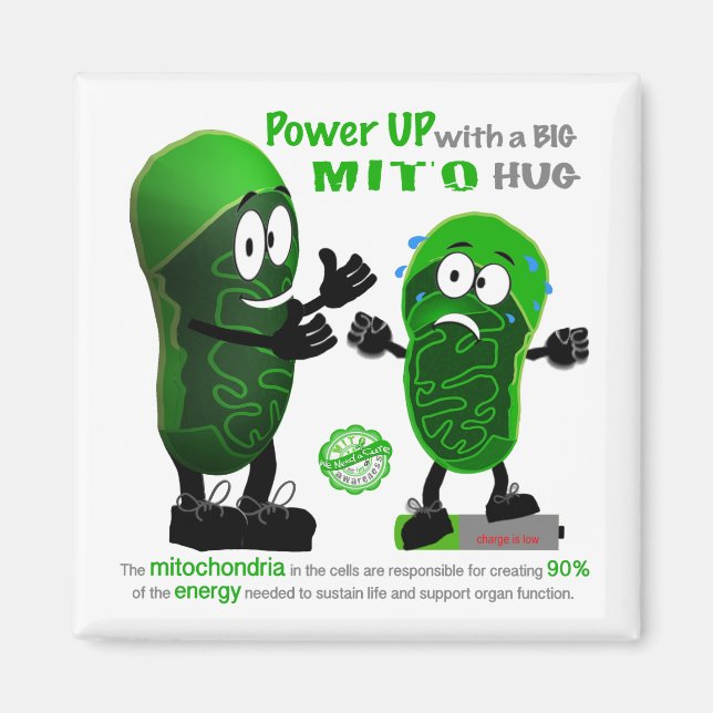 Uppgradera med en BIG MITO Hug Magnet (Framsidan)