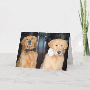 Uppgraderad Duo Kort