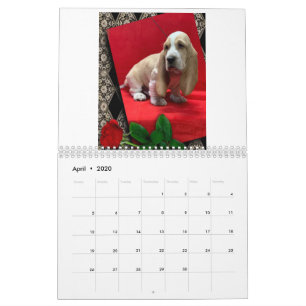 Upphängd kupongkalender kalender