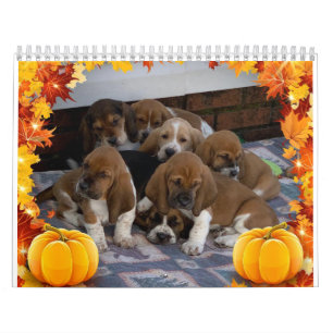 Upphängd kupongkalender kalender