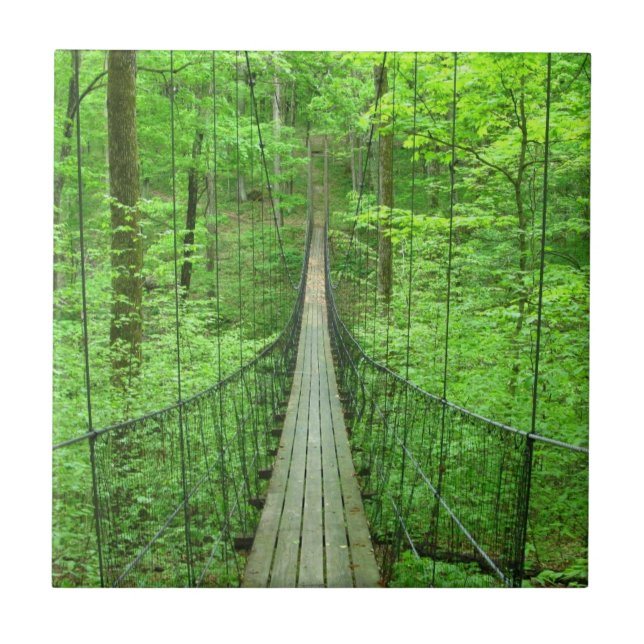 Upphängning överbryggar kakelplatta (Framsidan)