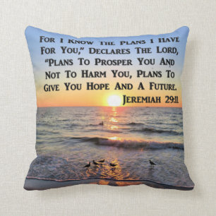 UPPHÄVANDE JEREMIAH 29:11 SUNRISE KUDDE