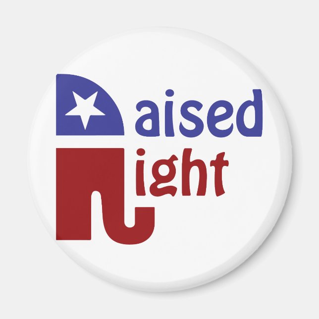 Upphöjd Höger Magnet (Framsidan)