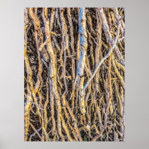 Upphöjt 4 utskrift, Poster Pappert (halvblank)