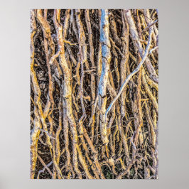 Upphöjt 4 utskrift, Poster Pappert (halvblank)