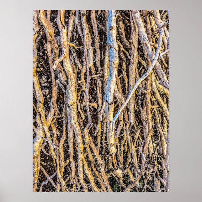 Upphöjt 4 utskrift, Poster Pappert (halvblank) (Framsidan)