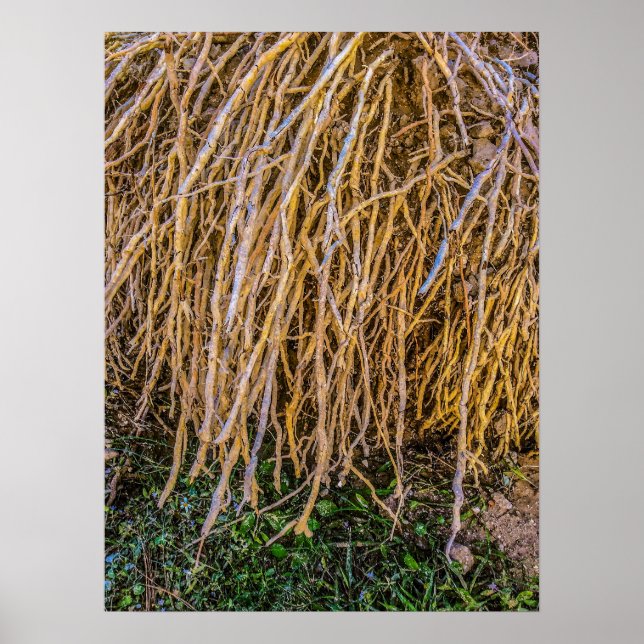 Upphöjt 6-utskrift, Poster Pappert (halvblank) (Framsidan)