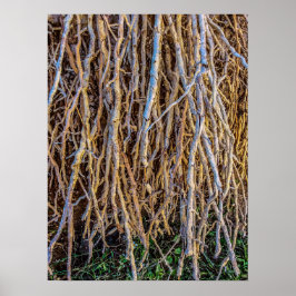 Upphöjt 7-utskrift, Poster Pappert (halvblank)