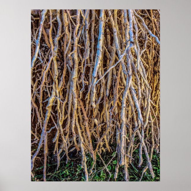 Upphöjt 7-utskrift, Poster Pappert (halvblank) (Framsidan)