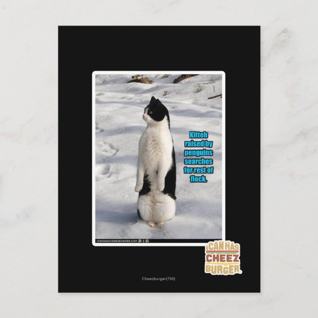 Upphöjt av Penguins Vykort (Framsida)