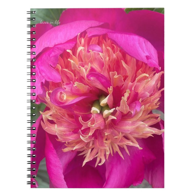Uppifrån nära Shock rosa Peony Anteckningsbok (Framsidan)
