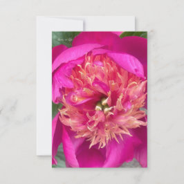 Uppifrån nära Shock rosa Peony Anteckningskort