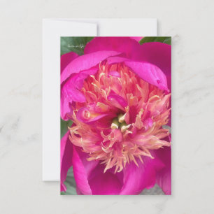 Uppifrån nära Shock rosa Peony Anteckningskort