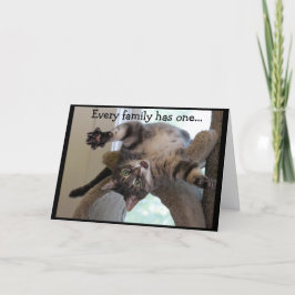 Uppifrån och ned Crazy Cat Kort