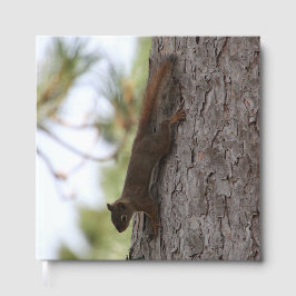 Uppifrån och ned-ekorre gästböcker