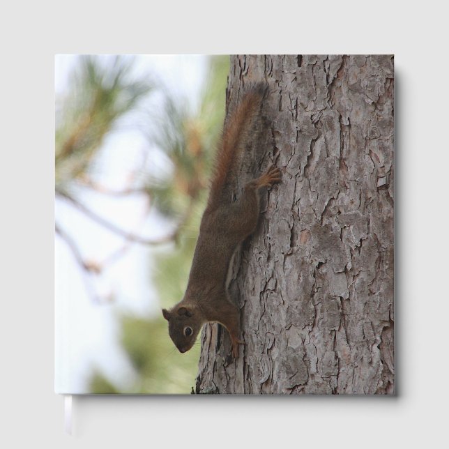 Uppifrån och ned-ekorre gästböcker (Framsida)