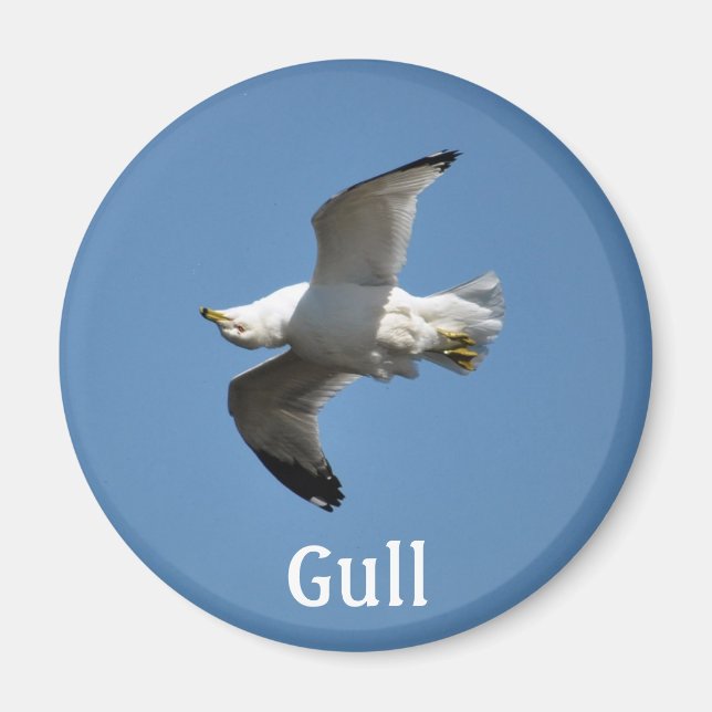 Uppifrån och ned, Gull Wildlife Collection Magnet (Framsidan)