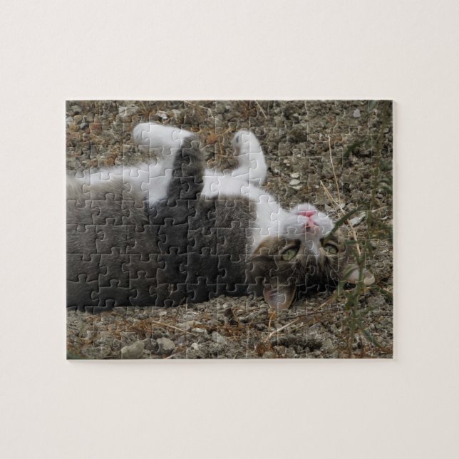 Uppifrån och ned Kattunge-pussel Pussel (Horisontell)