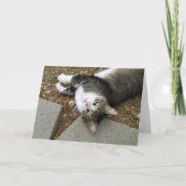 Uppifrån och ned Påsk-kort för Tabby katt Helgkort
