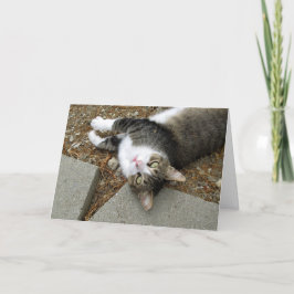 Uppifrån och ned Påsk-kort för Tabby katt Helgkort