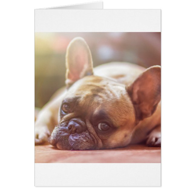 Uppläggning av tjurar och franskar hälsningskort (Framsidan)