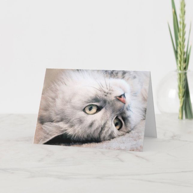 Upplev din födelsedag som ett katt kort (Framsida)
