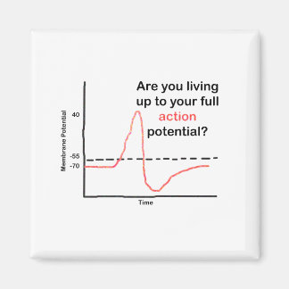 Upplev din Fullt potential Magnet