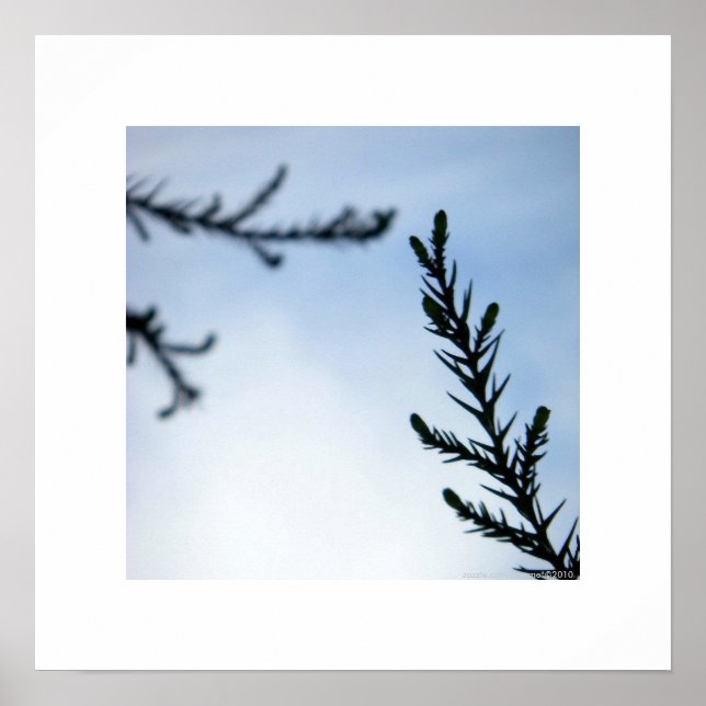 Upplev för dig/inspirerande naturutskrift poster (Framsidan)