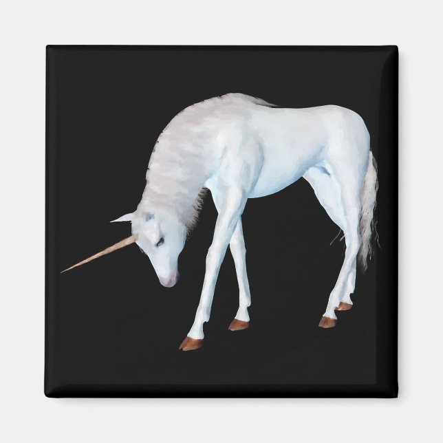 Upplev magnet (Framsidan)