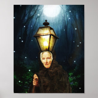 Upplevelsens fyr poster