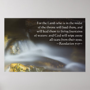 Upplösning 7:17 poster