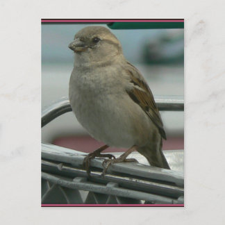 Upplyft Kärlek: Cart Bird Vykort