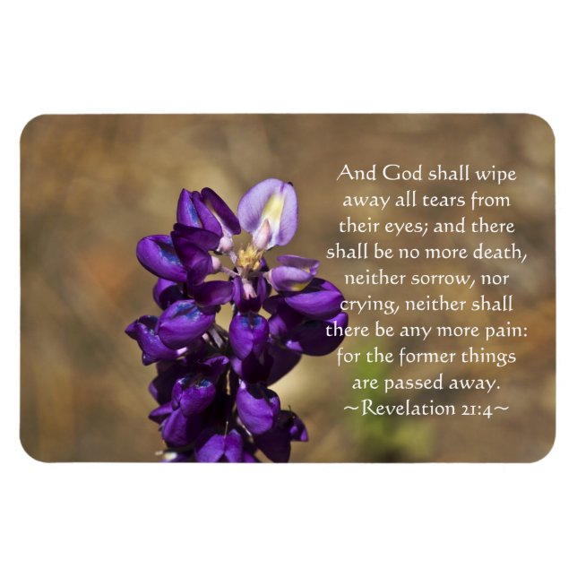 Upplysning 21:4 magnet (Horisontell)