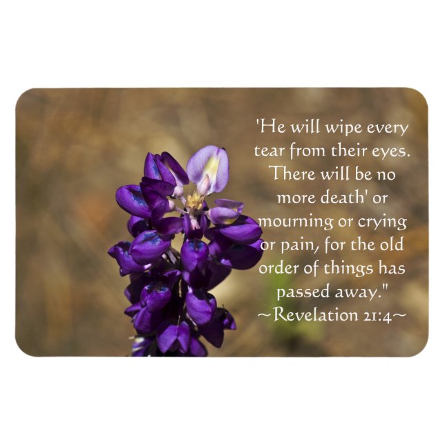 Upplysning 21:4 magnet (Horisontell)