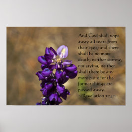 Upplysning 21:4 poster