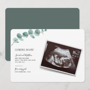 Upplysning om Eucalyptus Gravid Baby Reveal