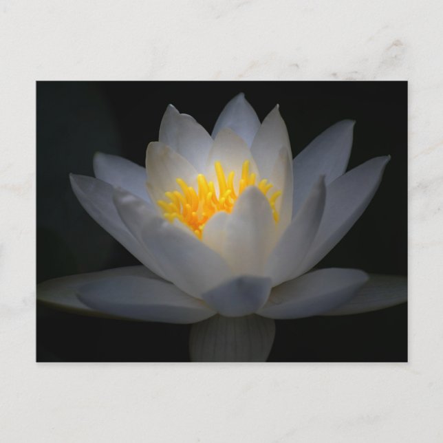 upplysning vykort (Framsida)