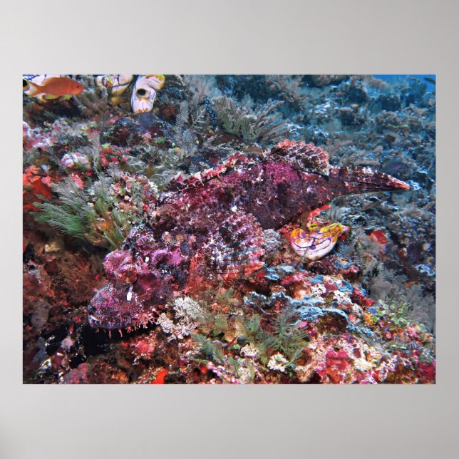 Upplyst Poster (Framsidan)