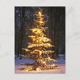 Upplyst snöig julgran i skogen på n helg vykort