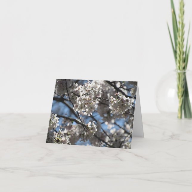 Upplysta Blommar för körsbär Tack Kort (Framsida)