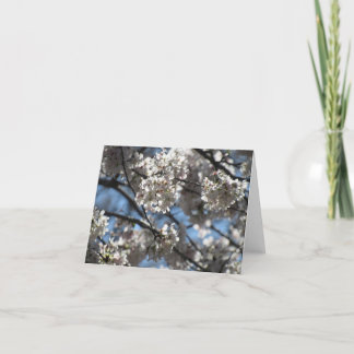 Upplysta Blommar för körsbär Tack Kort