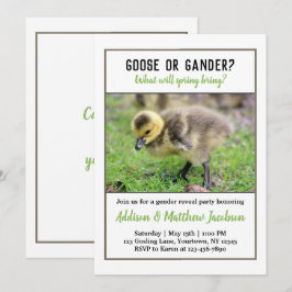 Uppmaning till Baby Goose Gender Reveal Inbjudningar