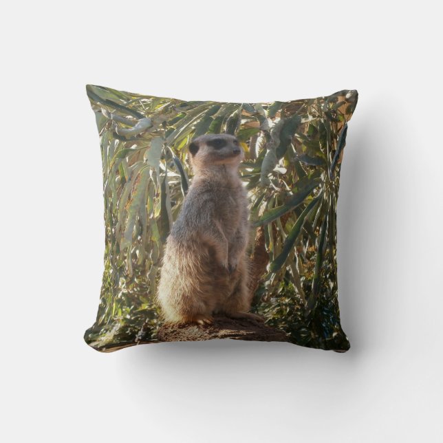 Uppmärksam sinnellbild: Meerkat på bakdroppbild fö Kudde (Framsida)