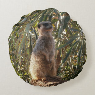 Uppmärksam sinnellbild: Meerkat på bakdroppbild fö Rund Kudde