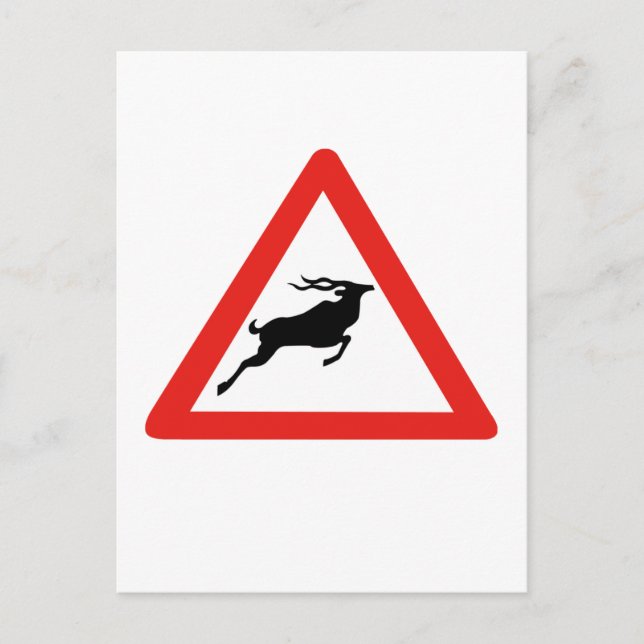 Uppmärksamhet Kudus, Trafikskylt, Sydafrika Vykort (Framsida)