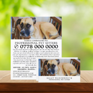 Uppmjukad Hund, Sitta-reklam Flygblad