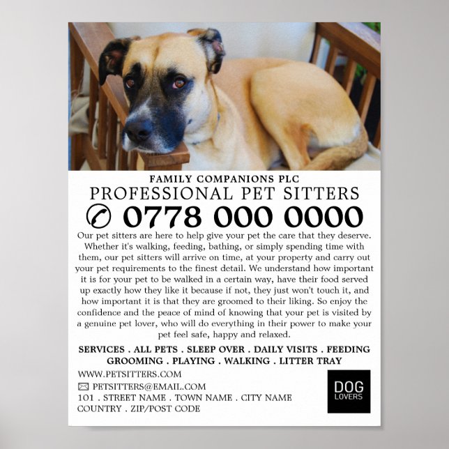 Uppmjukad Hund, Sitta-reklam Poster (Framsidan)